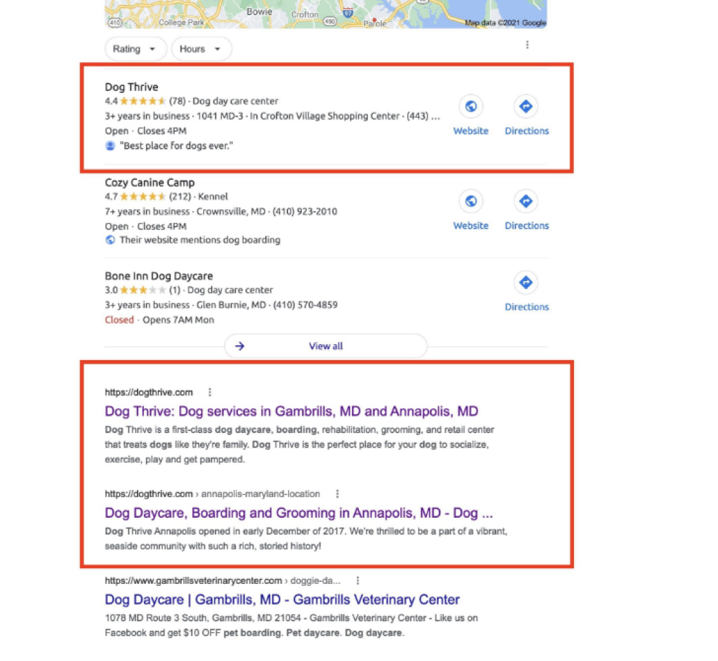 Screenshot of Pet Care Marketing client dominating competition in search rankings